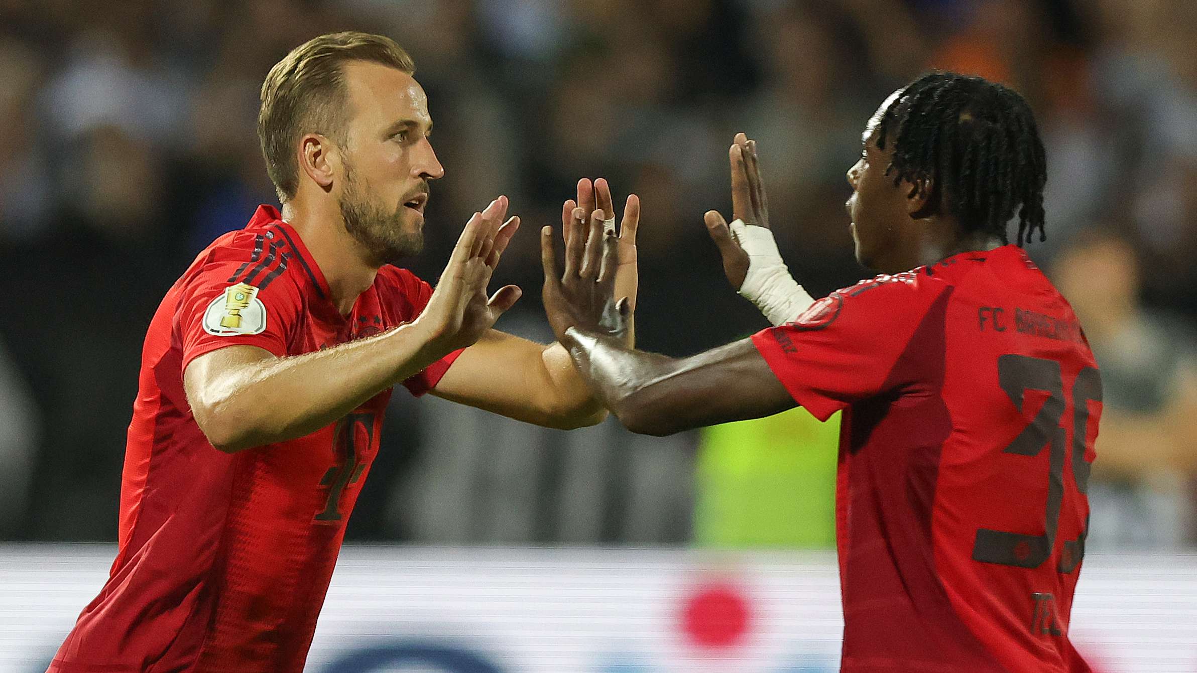 致力于为观 致力于为观