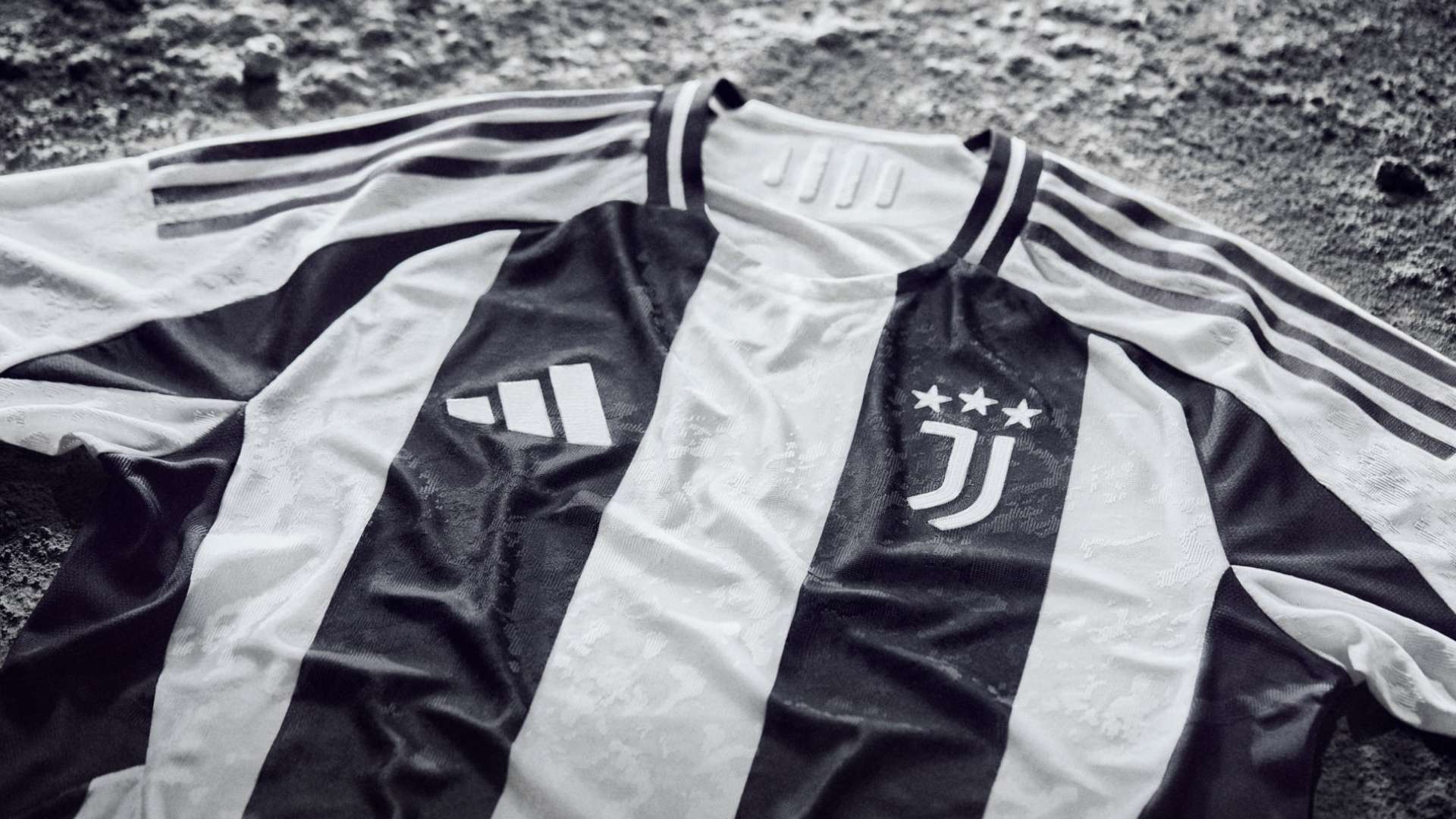 有权根据自 有权根据自