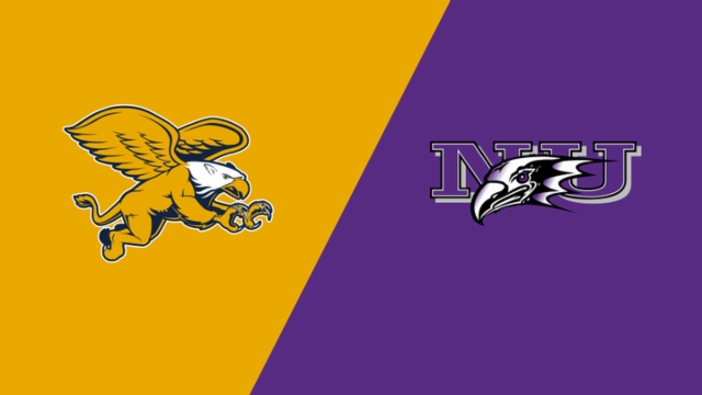 仅体现了文 仅体现了文